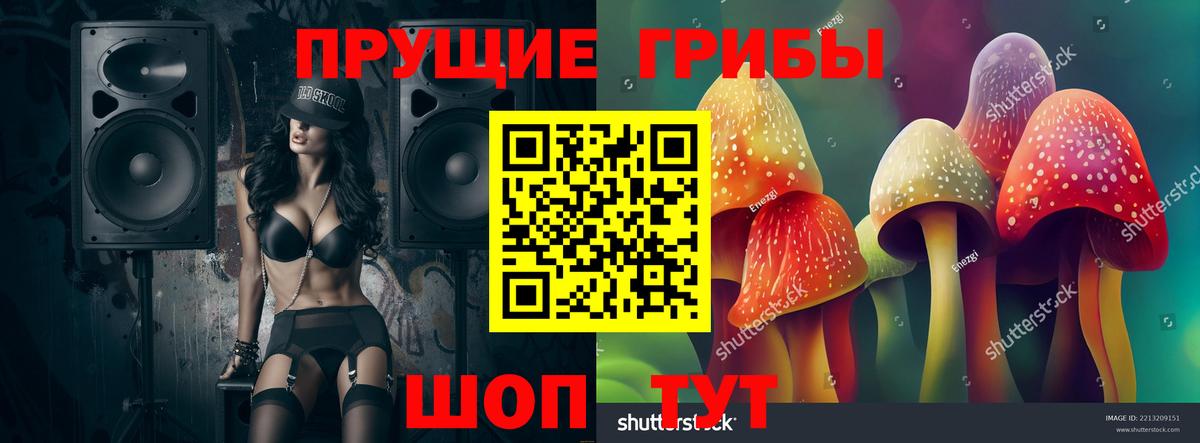 Вольск  Псилоцибиновые грибы Cubensis  Вход с VPN 